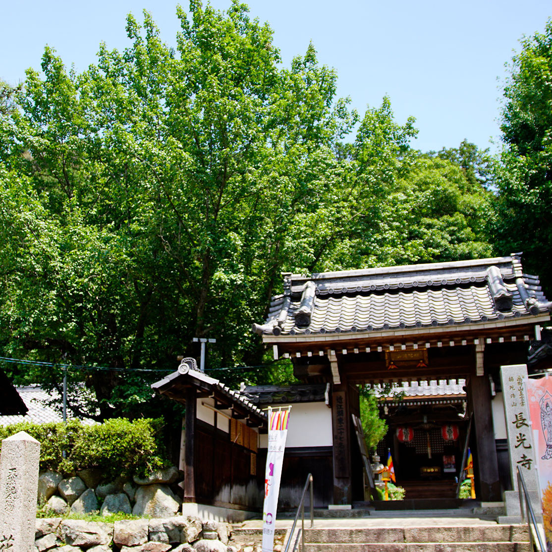 top_mv_summer_mobile